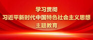 爱爱视频啊啊啊受不了学习贯彻习近平新时代中国特色社会主义思想主题教育_fororder_ad-371X160(2)